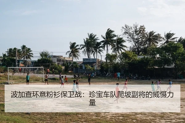 波加查环意粉衫保卫战：珍宝车队爬坡副将的威慑力量