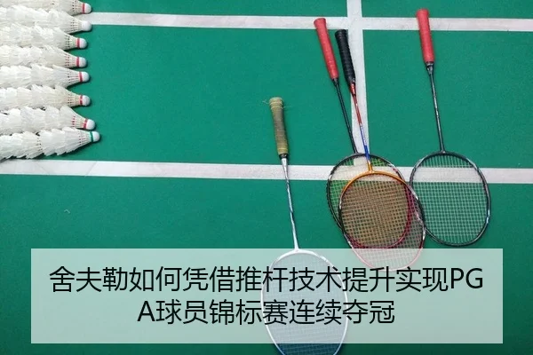 she-fu-lei-ru-he-ping-jie-tui-gan-ji-shu-ti-sheng-shi-xian-qiu-yuan-jin-biao-sai-lian-xu-duo-guan-2-436.jpg